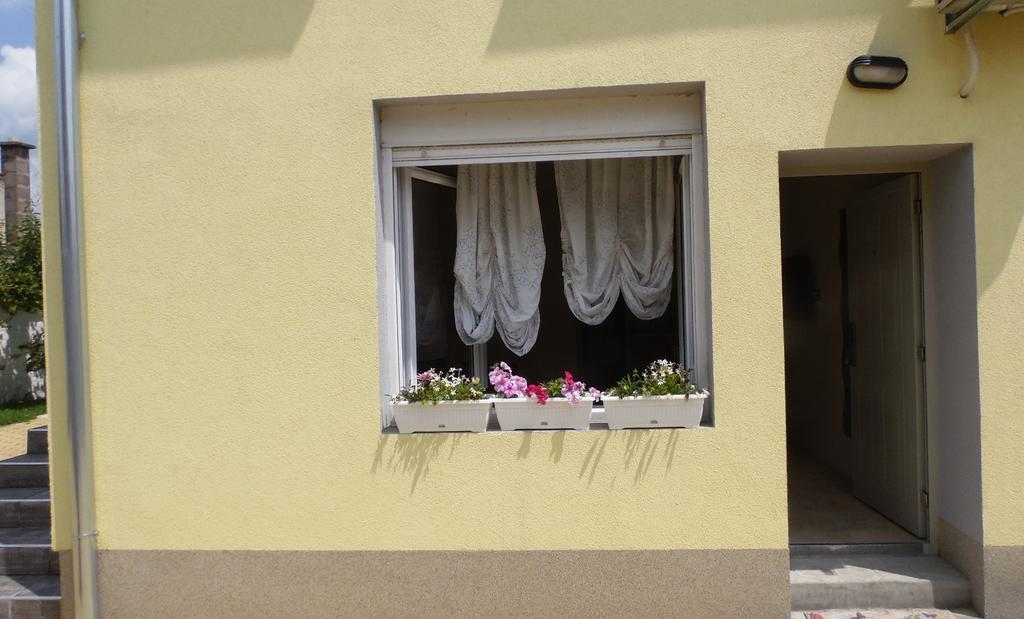 Zen Apartmani Novi Sad Exterior foto
