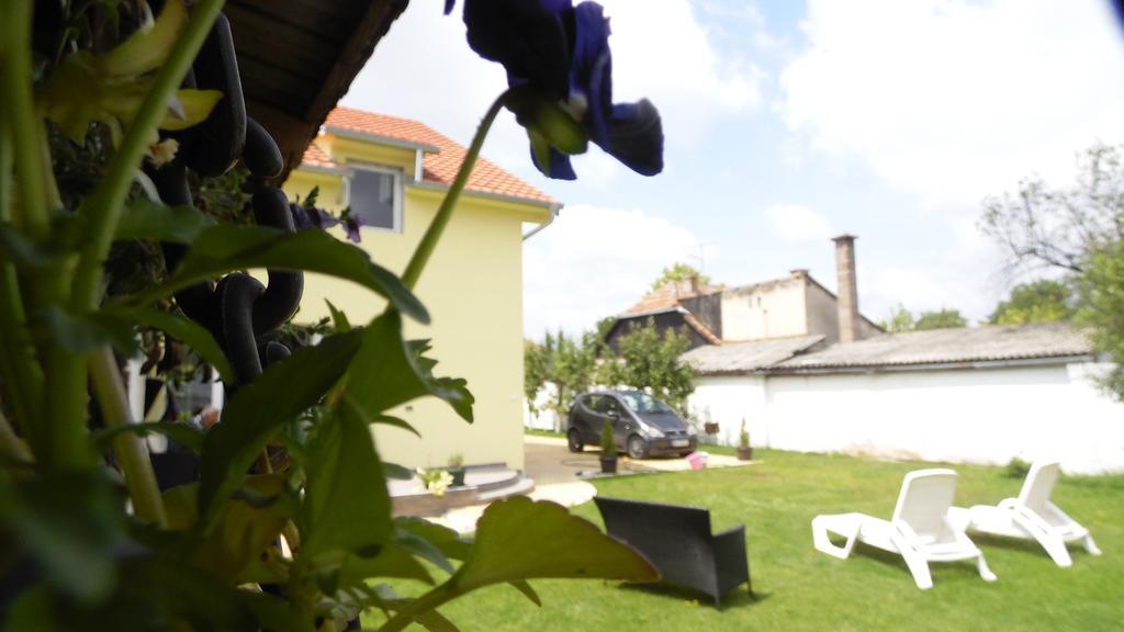 Zen Apartmani Novi Sad Exterior foto