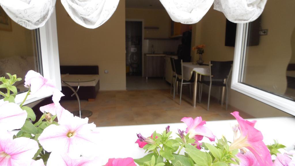 Zen Apartmani Novi Sad Exterior foto
